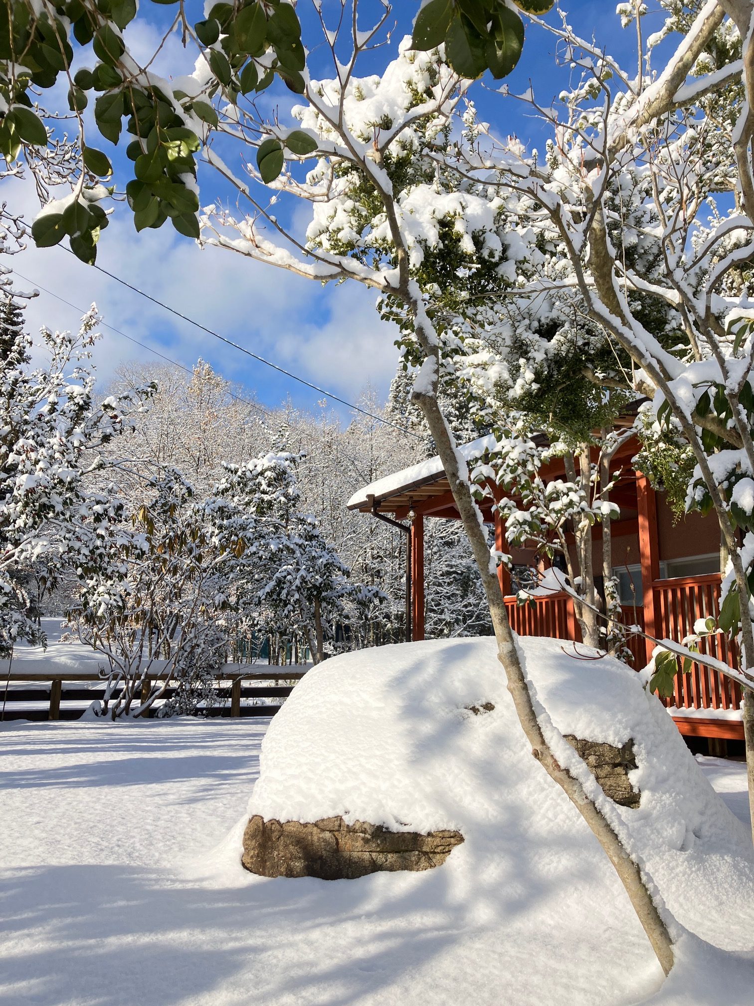 千本テラスの冬