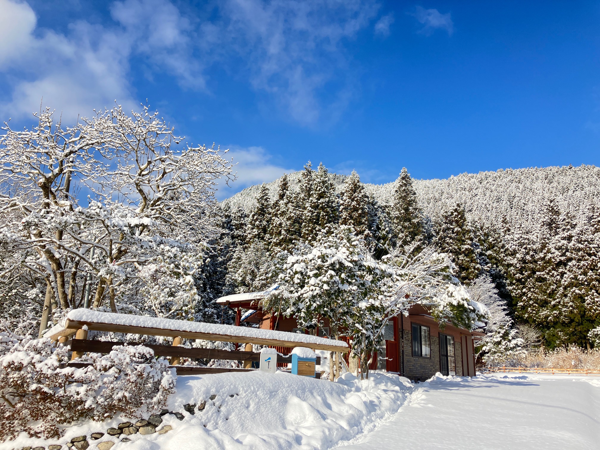 千本テラスの雪景色