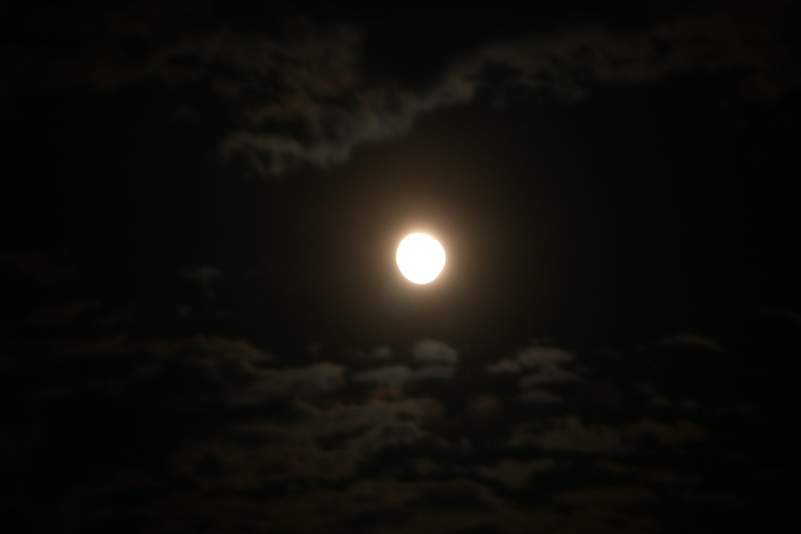 満月2025年8月8日